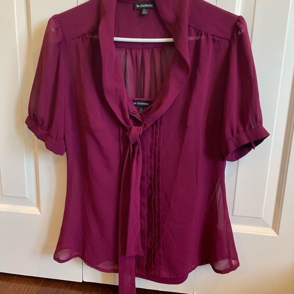 Sheer Blouse with matching Cami